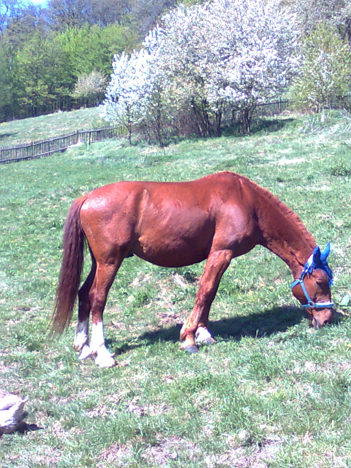 Obraz0077.jpg