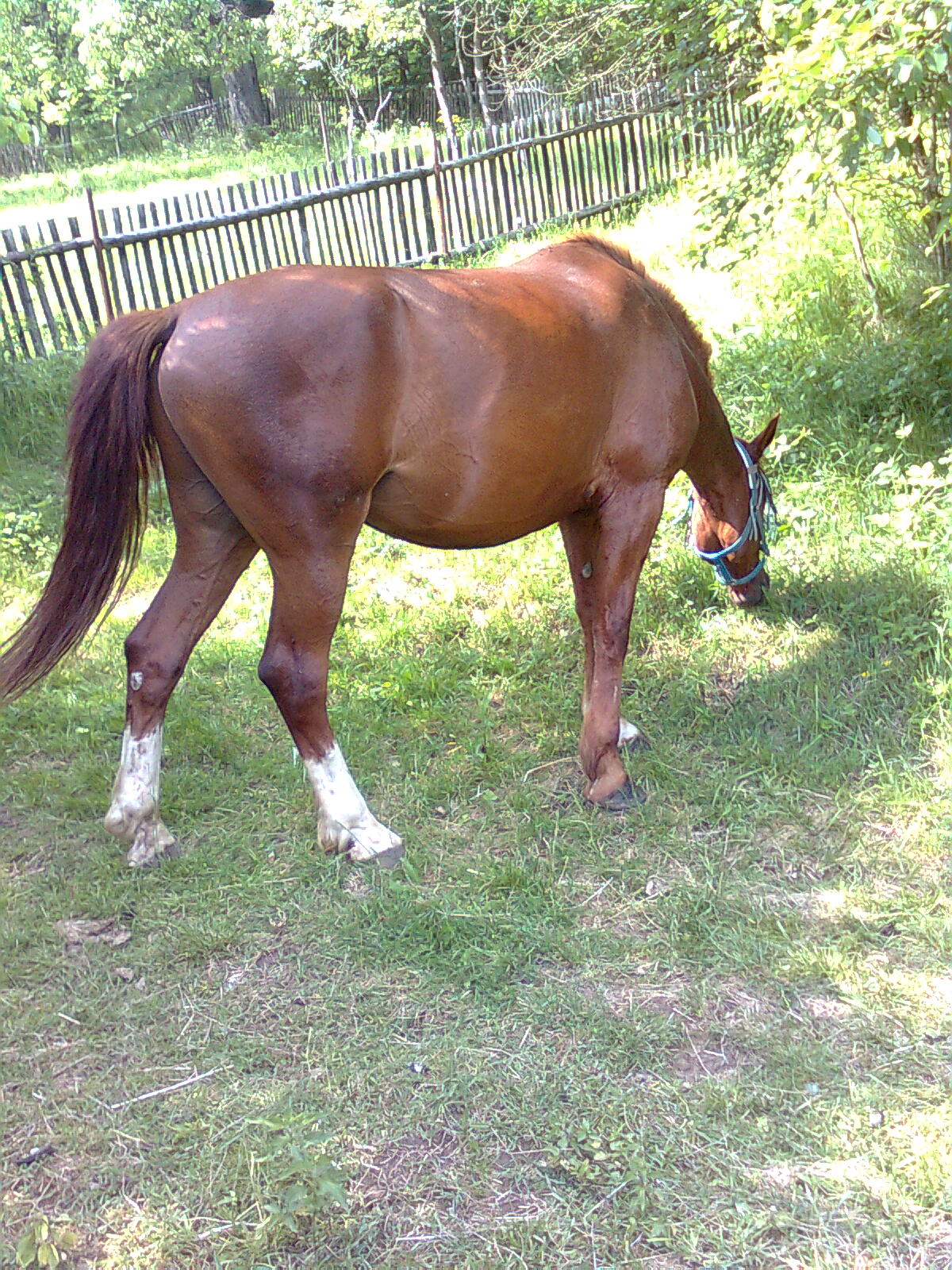 Obraz0170.jpg