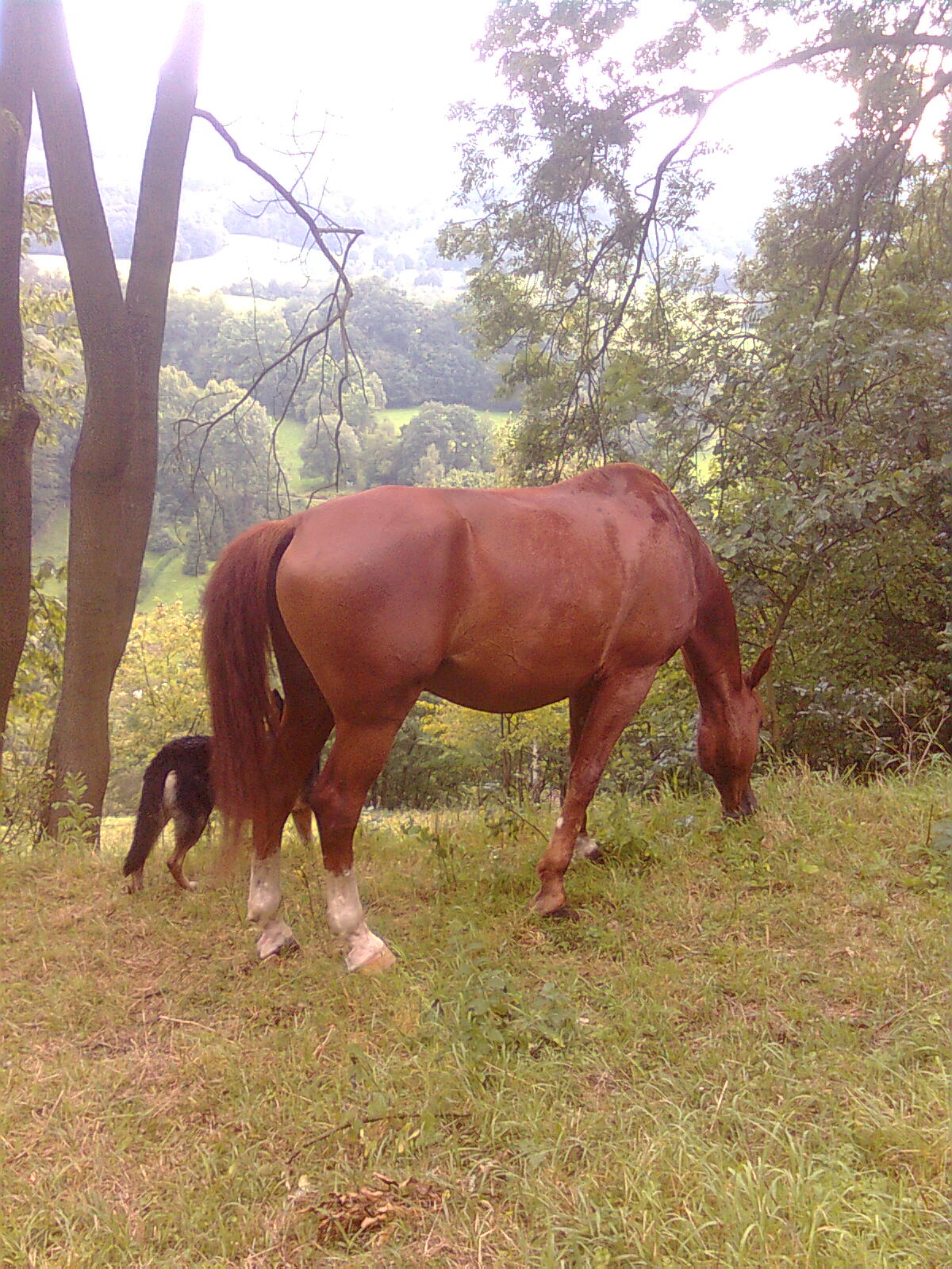 Obraz0297.jpg