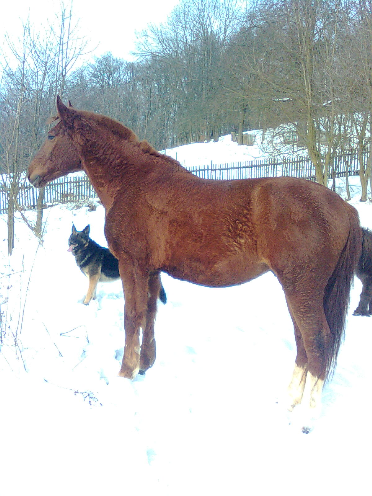 Obraz010.jpg