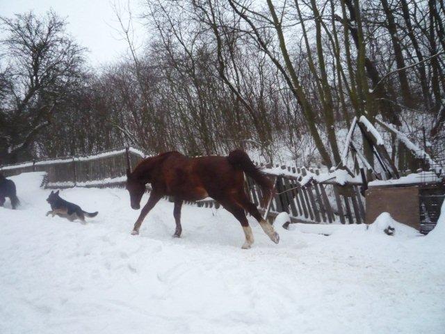 081.jpg