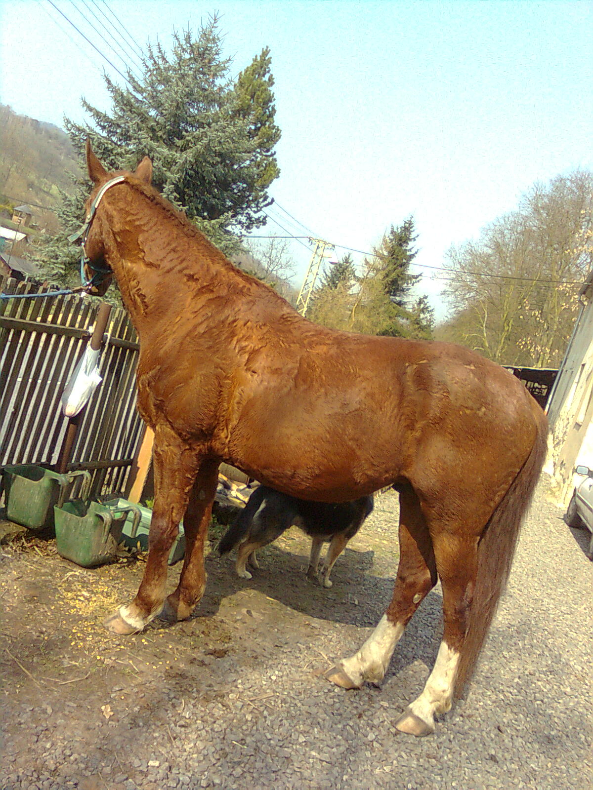 Obraz028.jpg