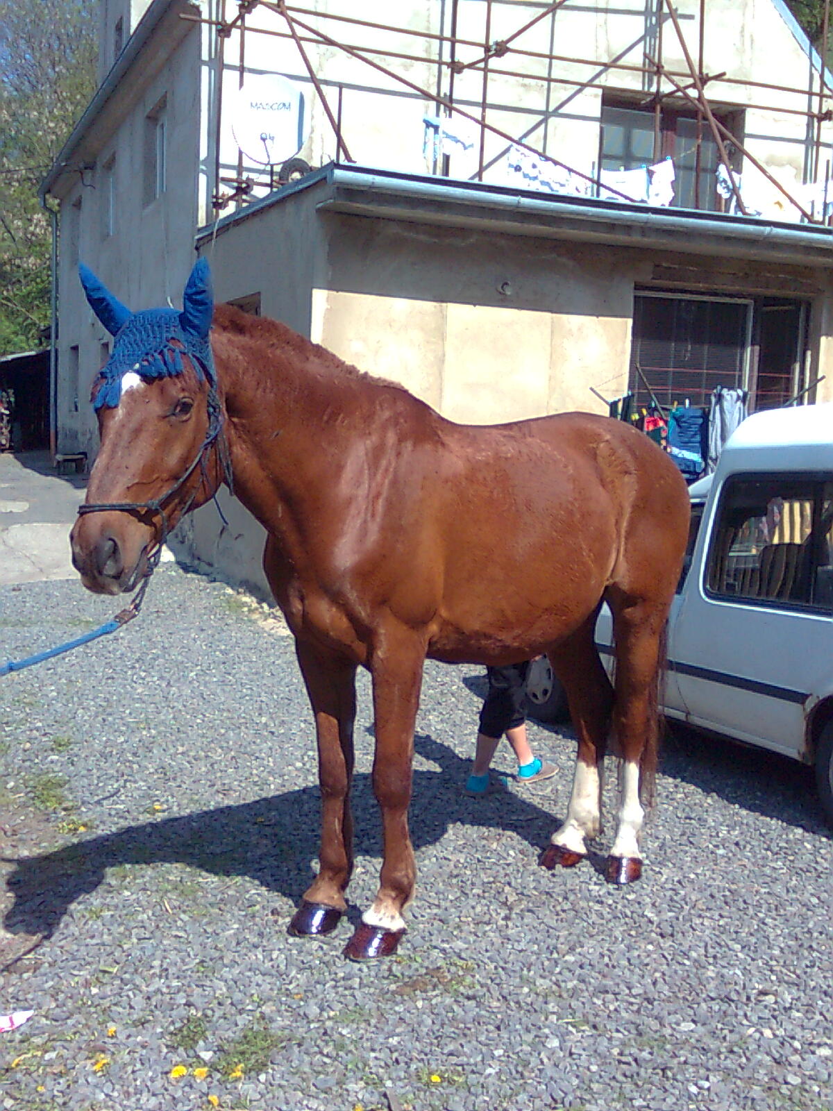 Obraz045.jpg