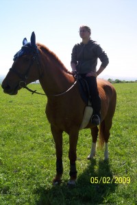Obrazek